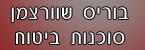 בוריס שוורצמן סוכנות ביטוח  רכב - ביטוח רכב