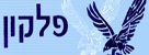 פלקון בטחון וניקיון - אבטחה ושמירה