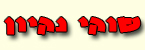 שוקי נקיון - ניקיון ואחזקה
