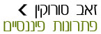 זאב סורוקין  עמודי נחיתה - מימון לעסקים